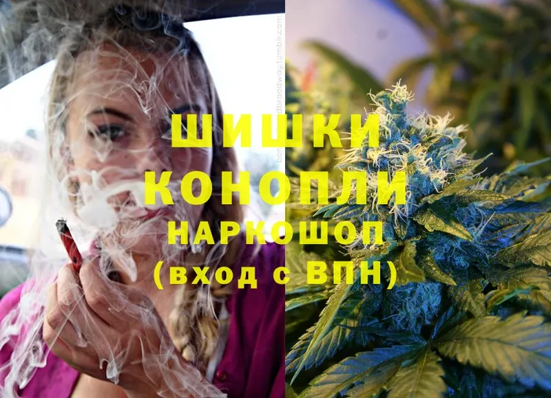 Шишки марихуана SATIVA & INDICA  купить наркотики сайты  Амурск 